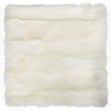 cortina-ermine-Edit